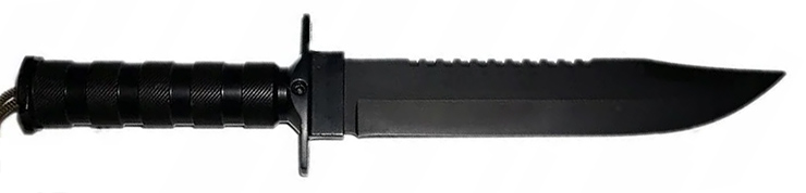    ""