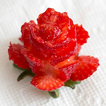 ������� ��������