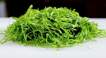 ������� ����