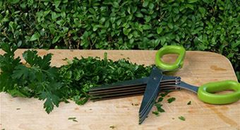 ������� ����