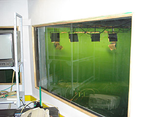 ��������� ������ ����