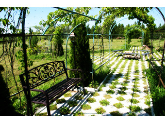 ������� ������