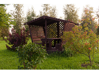 ������� ������